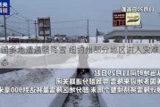 美国多地遭遇强降雪 纽约州部分地区进入灾难紧急状态