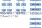 期权行权的流程和策略是什么？这种操作在投资组合中有何作用？