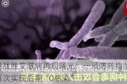 人类战胜艾滋病再现曙光：一预防药物临床试验首次实现后期“0感染”