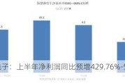 达瑞电子：上半年净利润同比预增429.76%-532.29%