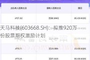 天马科技(603668.SH)：拟推920万份股票期权激励***