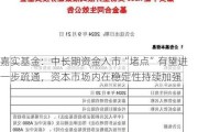 嘉实基金：中长期资金入市“堵点”有望进一步疏通，资本市场内在稳定性持续加强