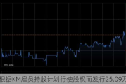 ESR根据KM雇员持股计划行使股权而发行25.09万股