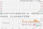 康方生物午后拉升跌幅收窄至13%，肺癌药物上市申请获批，否认临床数据不及预期