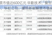 下周A股解禁市值近600亿元 华勤技术、复旦微电、海通证券、华虹公司、厦钨新能解禁市值居于前五（附名单）