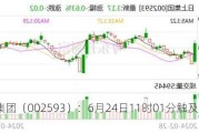 日上集团（002593）：6月24日11时01分触及涨停板