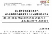 海印股份：收到深交所终止上市事先告知书