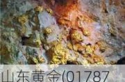 山东黄金(01787.HK)：以13.47亿元竞得大桥金矿详查探矿权