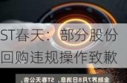 ST春天：部分股份回购违规操作致歉