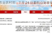 农业农村部：7 月 24 日畜牧业新举措