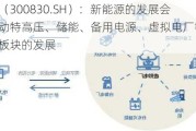 金现代（300830.SH）：新能源的发展会同时拉动特高压、储能、备用电源、虚拟电厂等相关业务板块的发展