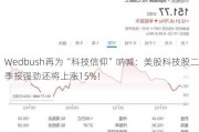 Wedbush再为“科技信仰”呐喊：美股科技股二季报强劲还将上涨15%！