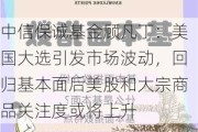 中信保诚基金顾凡丁：美国大选引发市场波动，回归基本面后美股和大宗商品关注度或将上升