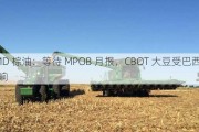 BMD 棕油：等待 MPOB 月报，CBOT 大豆受巴西豆影响