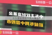 中东基金首投中国大模型？