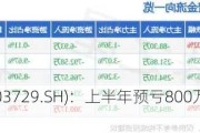 龙韵股份(603729.SH)：上半年预亏800万元至900万元