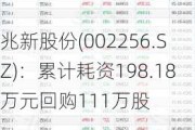 兆新股份(002256.SZ)：累计耗资198.18万元回购111万股