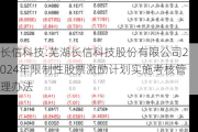 长信科技:芜湖长信科技股份有限公司2024年限制性股票激励计划实施考核管理办法