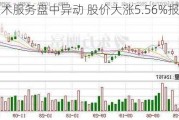 VSE技术服务盘中异动 股价大涨5.56%报88.23美元