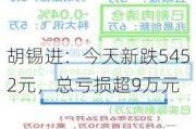 胡锡进：今天新跌5452元，总亏损超9万元