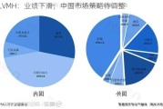 LVMH：业绩下滑，中国市场策略待调整