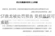 ST鼎龙被处罚预告 受损股民可索赔