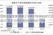 洛阳钼业发盈喜 预期上半年归母净利润51.89亿至57.35亿元同比增加638%至716%