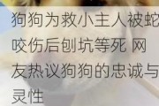 狗狗为救小主人被蛇咬伤后刨坑等死 网友热议狗狗的忠诚与灵性