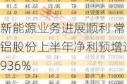 新能源业务进展顺利 常铝股份上半年净利预增逾936%