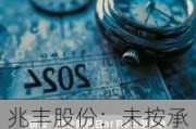 兆丰股份：未按承诺分红被出具警示函，拟加入中期分红大军