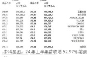 中科星图：24 年上半年营收增 52.97% 前景佳