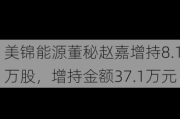 美锦能源董秘赵嘉增持8.1万股，增持金额37.1万元