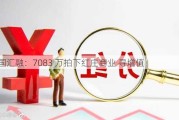 中国汇融：7083 万拍下红庄商业 寻增值