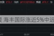 海运股早盘回暖 海丰国际涨近5%中远海控涨超4%
