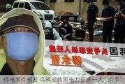 停电事件频发 乌鸦成韩国电力设施一大“杀手”