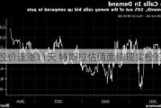 股价连涨11天 特斯拉估值面临现实检验