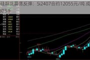 工业硅期货震荡反弹：Si2407合约12055元/吨 成交量131303手