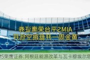 AIMS荣鹰证券:阿根廷能源改革与瓦卡穆埃尔塔潜力