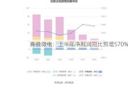 赛微微电：上半年净利润同比预增570%