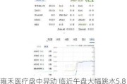 雍禾医疗盘中异动 临近午盘大幅跳水5.88%