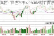 雅化集团：津巴布韦Kamativi锂矿资源量更新