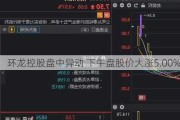 环龙控股盘中异动 下午盘股价大涨5.00%