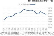 保利发展业绩快报：上半年实现净利润75.08亿元 同比下降38.57%