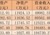 乐山电力：拟600万元对外投资成立子公司