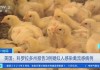 科罗拉多州家禽养殖场：新增2例H5N1禽流感病例