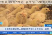 科罗拉多州家禽养殖场：新增2例H5N1禽流感病例