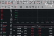 医疗全线走高，医疗ETF（512170）大涨超3.5%！昭衍新药涨停，爱尔眼科涨超11%