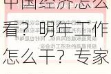 中国经济怎么看？明年工作怎么干？专家权威解读