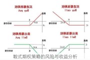 鞍式期权策略的风险与收益分析