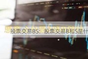 股票交易BS：股票交易B和S是什么意思？